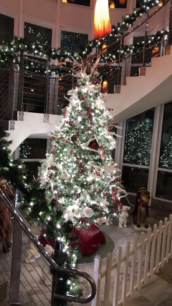 RoseHallResort's tweet photo. #SeasonsGreetings 🎄☀️ 

#righthere https://t.co/HpR8G3wUt4