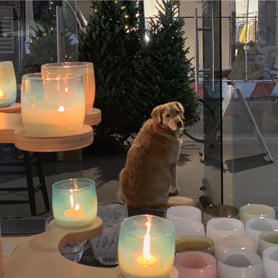 People, most beautiful @glassybaby in #Manhattan. 10% of proceeds to NYC charities. 2 Rivington Street ... Merry Christmas. - Stone bit.ly/glassybabynyc