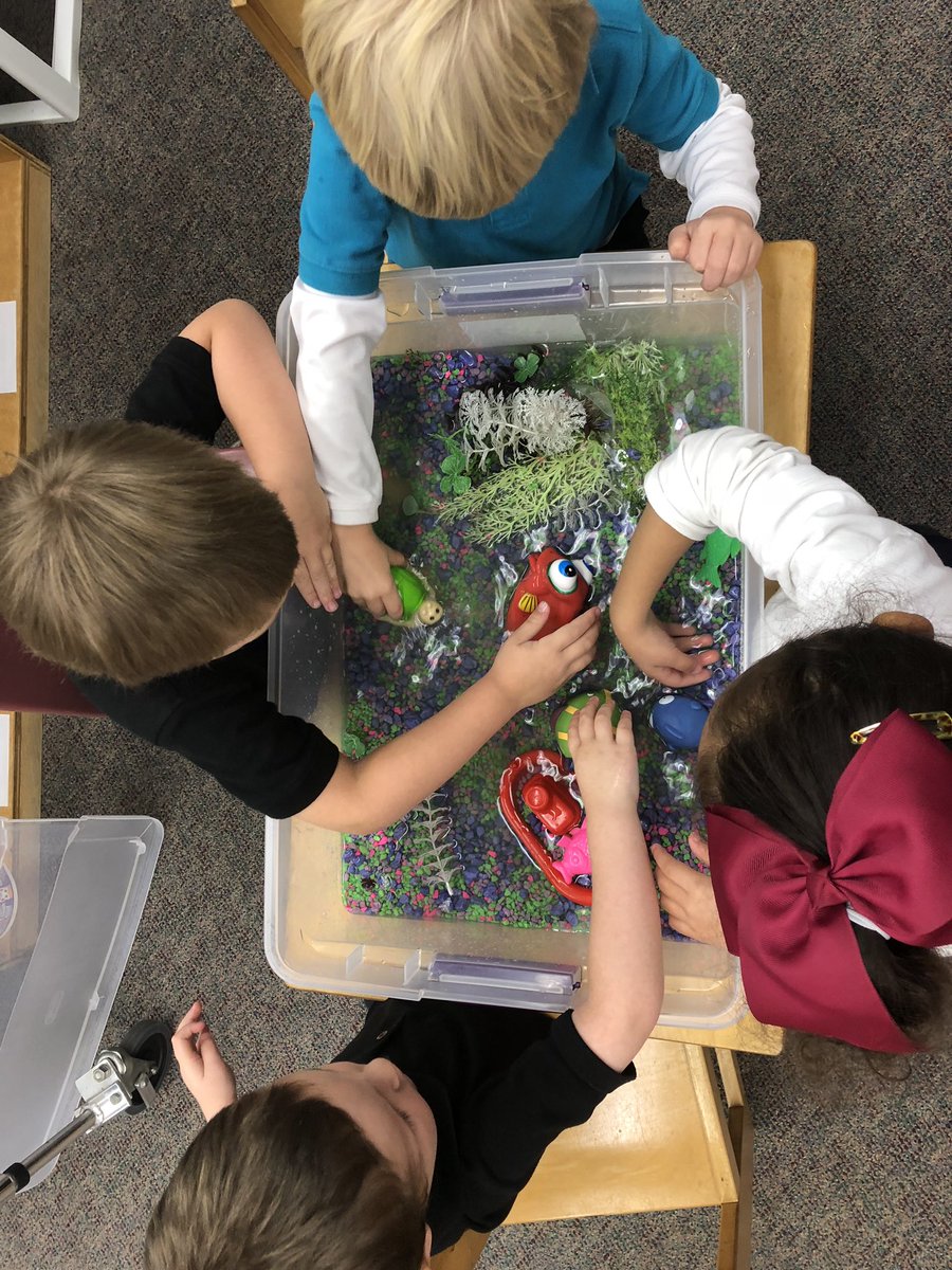 amsforjams's tweet photo. PreK ss built an aquarium, added water & played cooperatively! #IRESPreK #IRESthebest #vcsprek #cooperativelearning https://t.co/tgZ36T1RO4