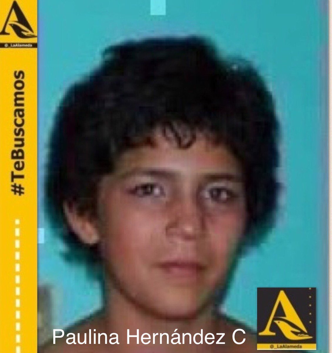 LaAlamedaJalisco tweet media