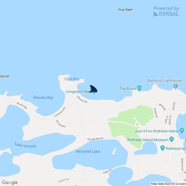 Fays Bay Rottnest Map Dorsal Shark Reports On Twitter: "Official #Sharkreport: Wa - Near Rottnest  Island (Fays Bay). 09:55, 11 Dec 18, 2.5M, Great White, Sighting From Water  Https://T.co/5Coxosgne3" / Twitter
