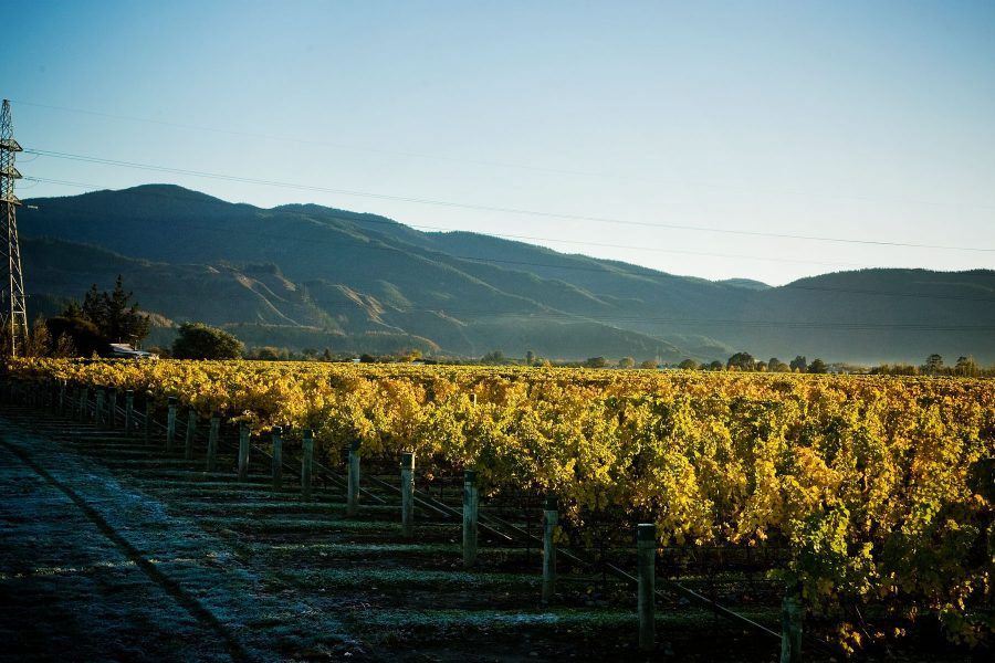 Bob Campbell MW tweet media