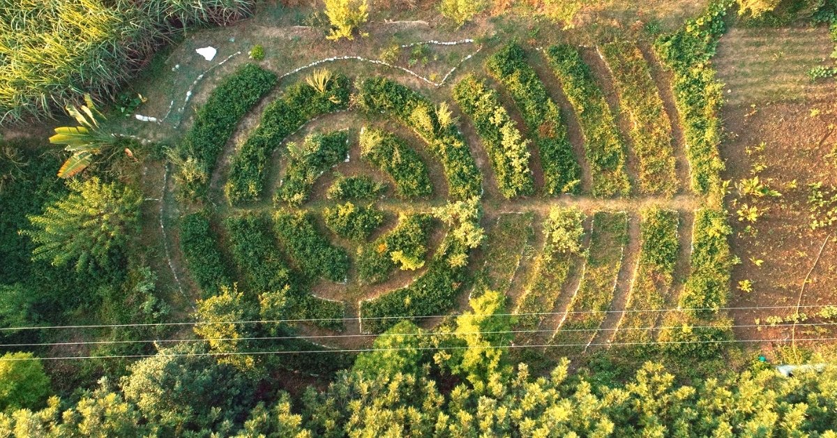 thebetterindia's tweet image. thebetterindia.com/166449/chandig… A Farm That Will Live Forever: Meet the Couple Teaching This Special Technique!
