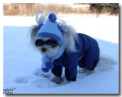 PuppyRevolution's tweet photo. WINTER IS COMING. #got #GOTXP
Follow @PuppyRevolution to prepare yourself... https://t.co/cQ4m0Ow3vX
