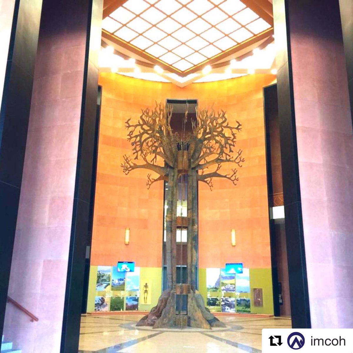 IMCOH1's tweet photo. https://t.co/PQrvVy4e9o