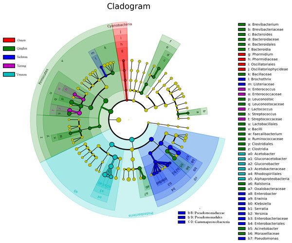 Peerj Publishing Bacterial Diversity And Community In Qula From The Qinghai Tibetan Plateau In China T Co Hvy9ugcus6