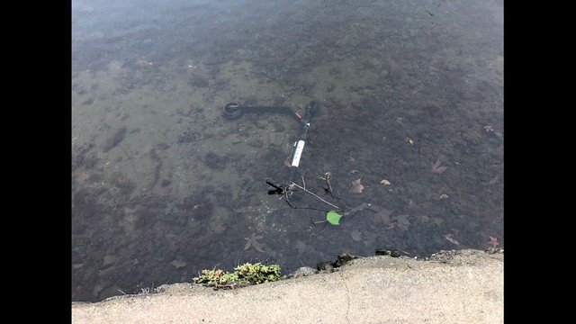 E-scooters being dumped into Oakland's Lake Merritt. bit.ly/2SDBnsz https://t.co/CAS6sVJms5