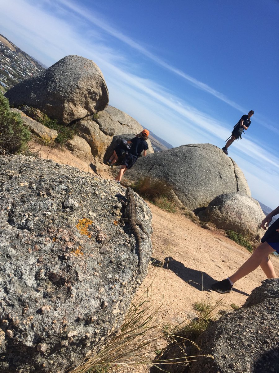 Wayne Olifent tweet media