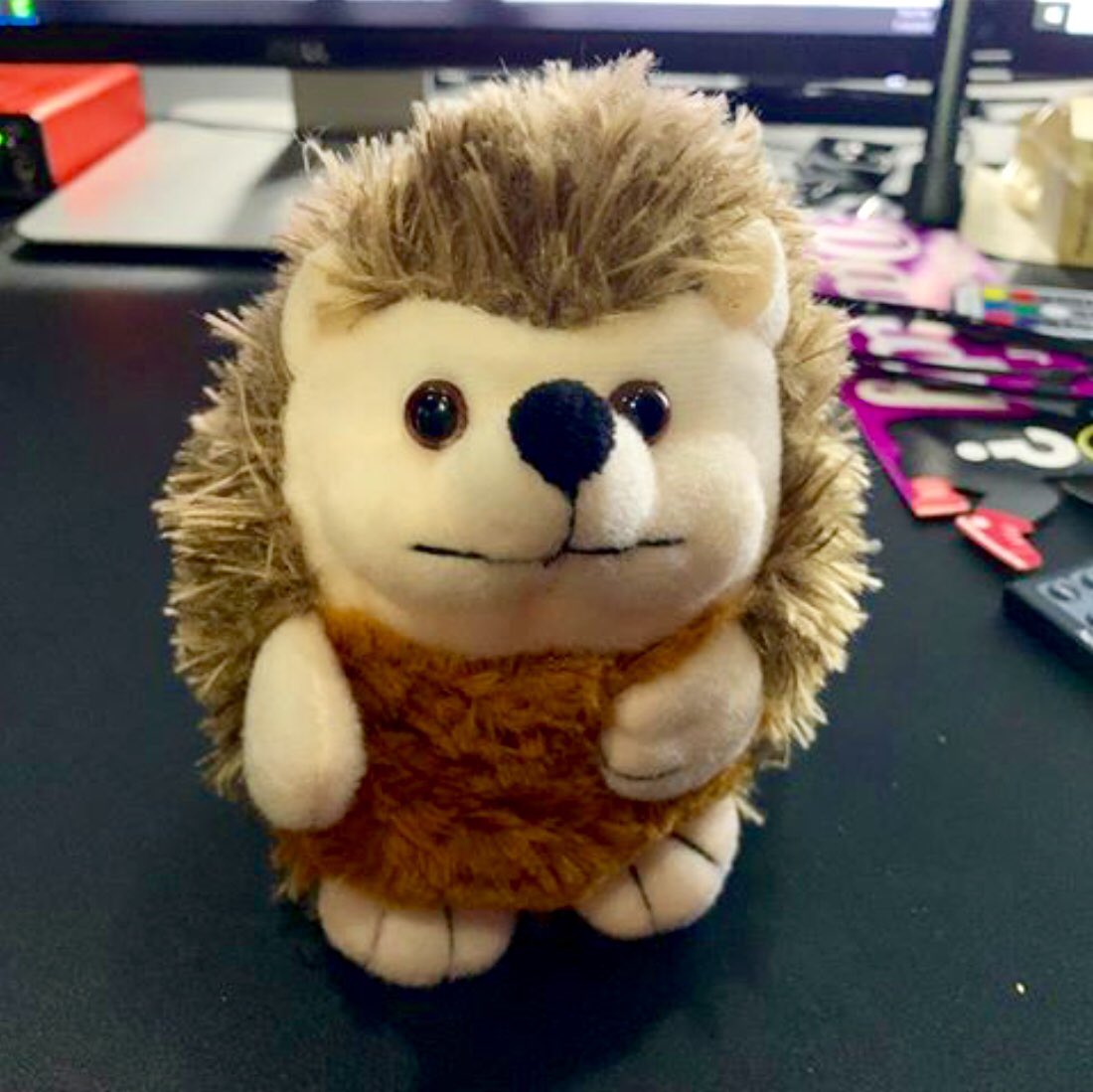 Alfredo The Hedgehog on Twitter: "Hello my is Alfredo. a like if you think I'm savage. See soon! https://t.co/mkH0pFpvf3" / Twitter