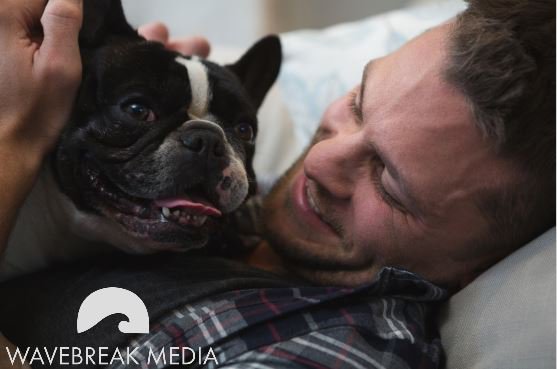 Wavebreak Media tweet media