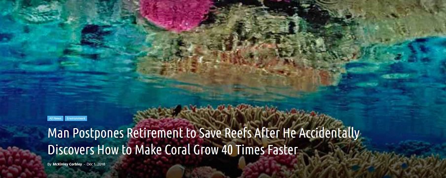 anbollen's tweet photo. A groundbreaking ‘accidental’ #discovery by Dr Vaughan who found that #microfragmentation of #coral allows them to #grow 40 times faster than in the #wild. New hope in the battle of #reefrestoration. https://t.co/LX3t9fK3HR @MoteMarineLab @OceanOptimism @ConservOptimism https://t.co/ccAZ4noaR9