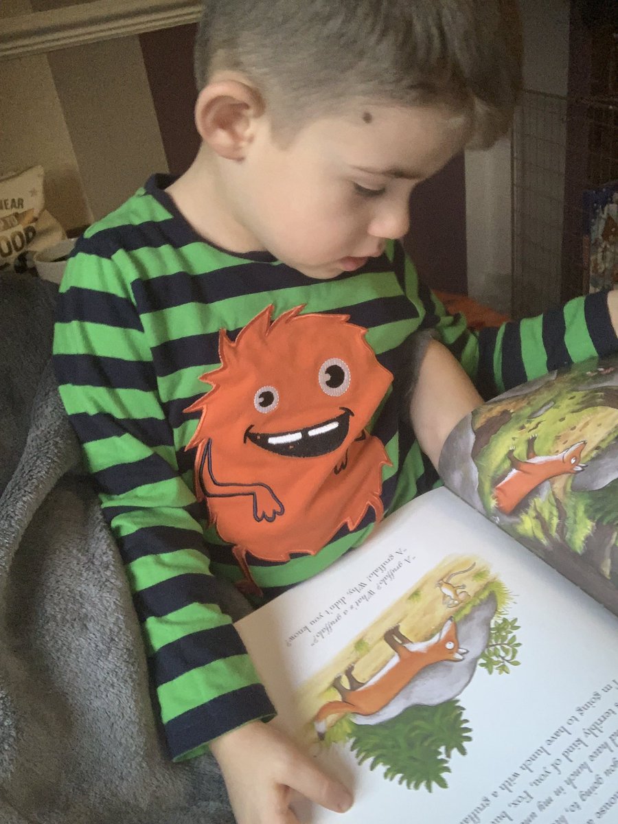 Daniallione's tweet photo. @Appletree_LW Noahβs picked one of mummyβs favourites to read this morning #festivefunreadingtree https://t.co/NIvkTh6IGH
