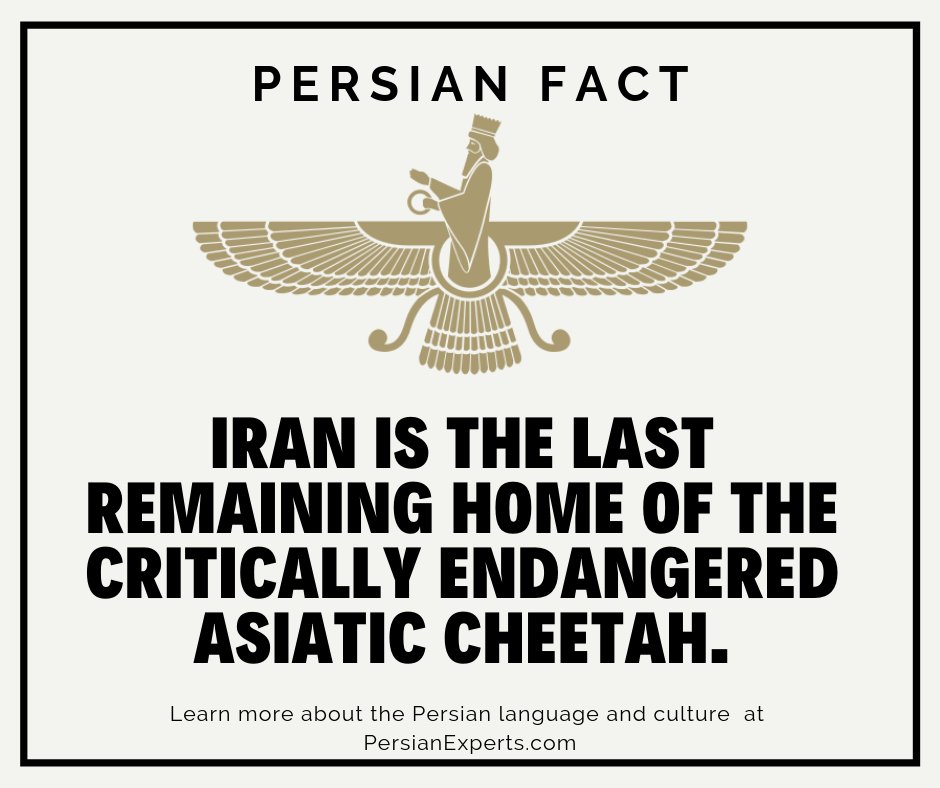 Persian Experts (PersianExperts) Twitter