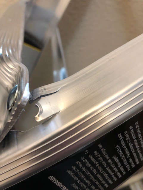 Tricia Green tweet media