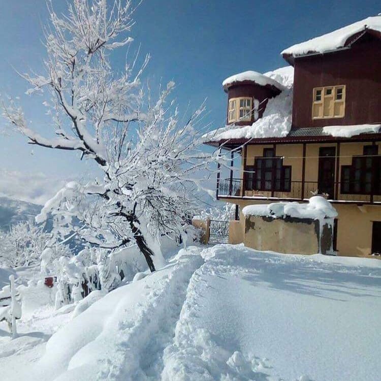 Gangtok tweet media