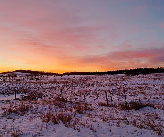 Brad_In_YYC's tweet photo. Well, you never cease to amaze me Alberta.
#TravelAlberta #CaptureAlberta #CaptureCanada #Sunrise #Samsung #Prairies #Foothills https://t.co/TyuYpEctCn
