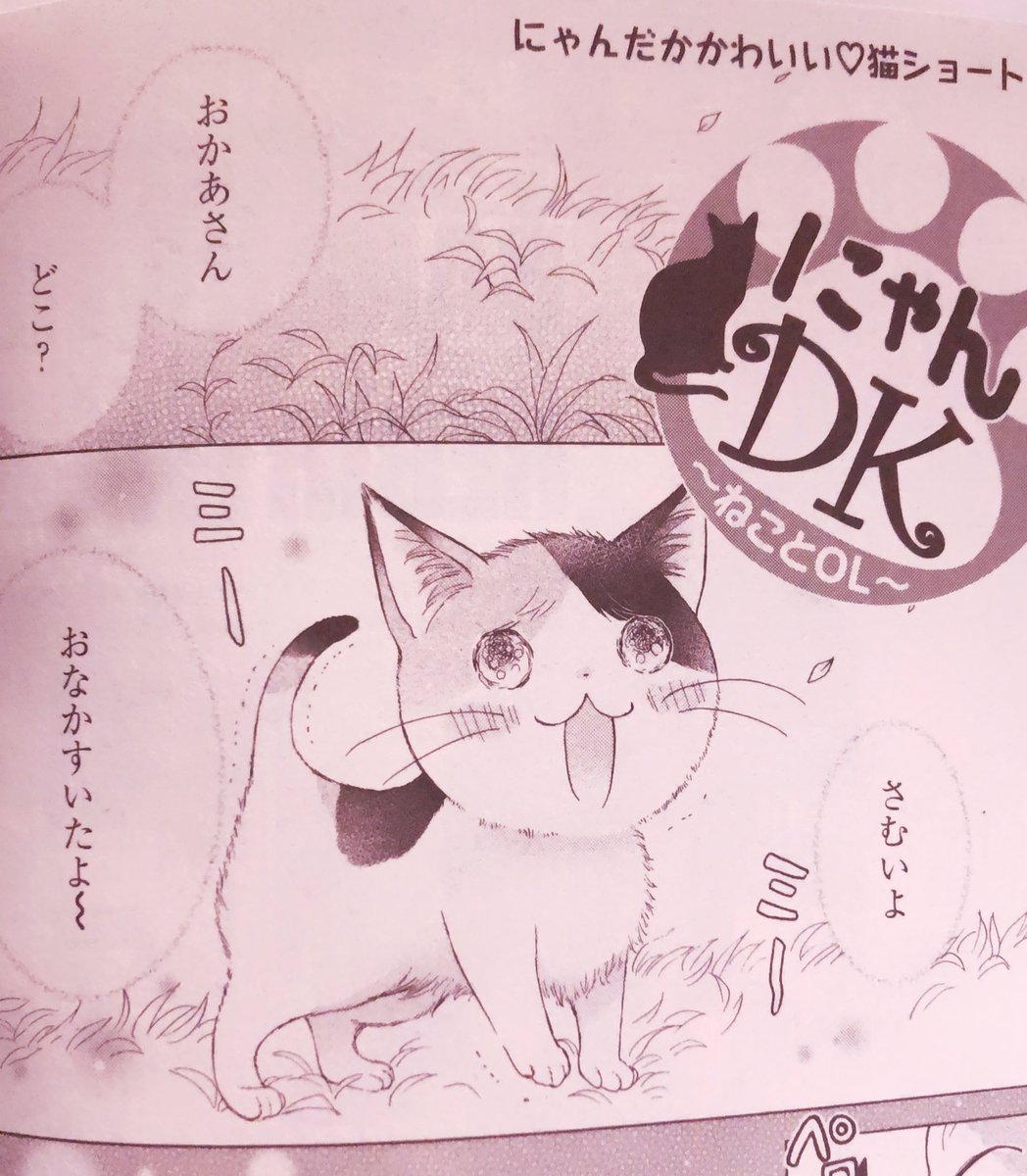 ❄️おしらせ❄️
只今発売中の姉系プチコミック 1月号に猫ショート「にゃんDK」掲載して頂いております!寒くなってきて猫肌恋しい今日この頃(=^x^=)どうぞよろしくお願いします⛄️ 