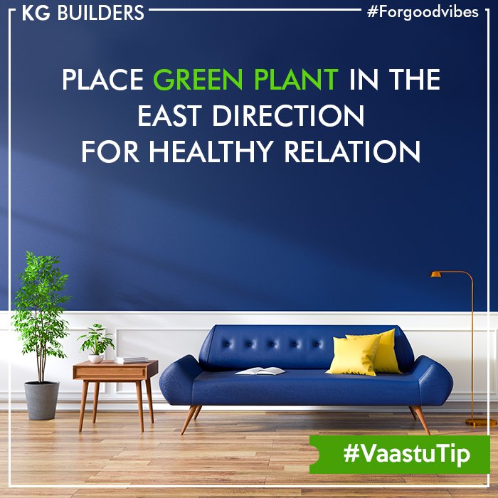 BuildersKg's tweet image. Place green plants in the east direction for healthy relation..!
#GreenPlants #EastDirection #Health
#VaastuTip