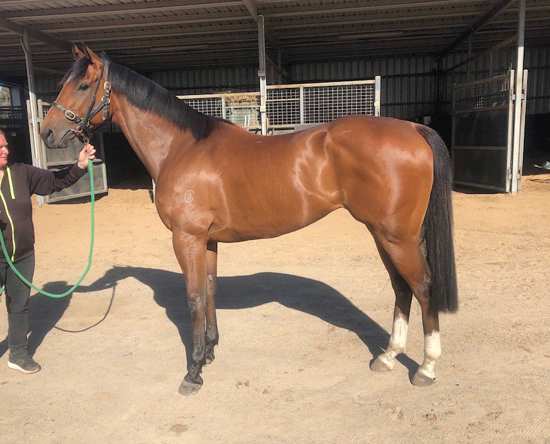 Gavelhouse (gavelhouse) Twitter