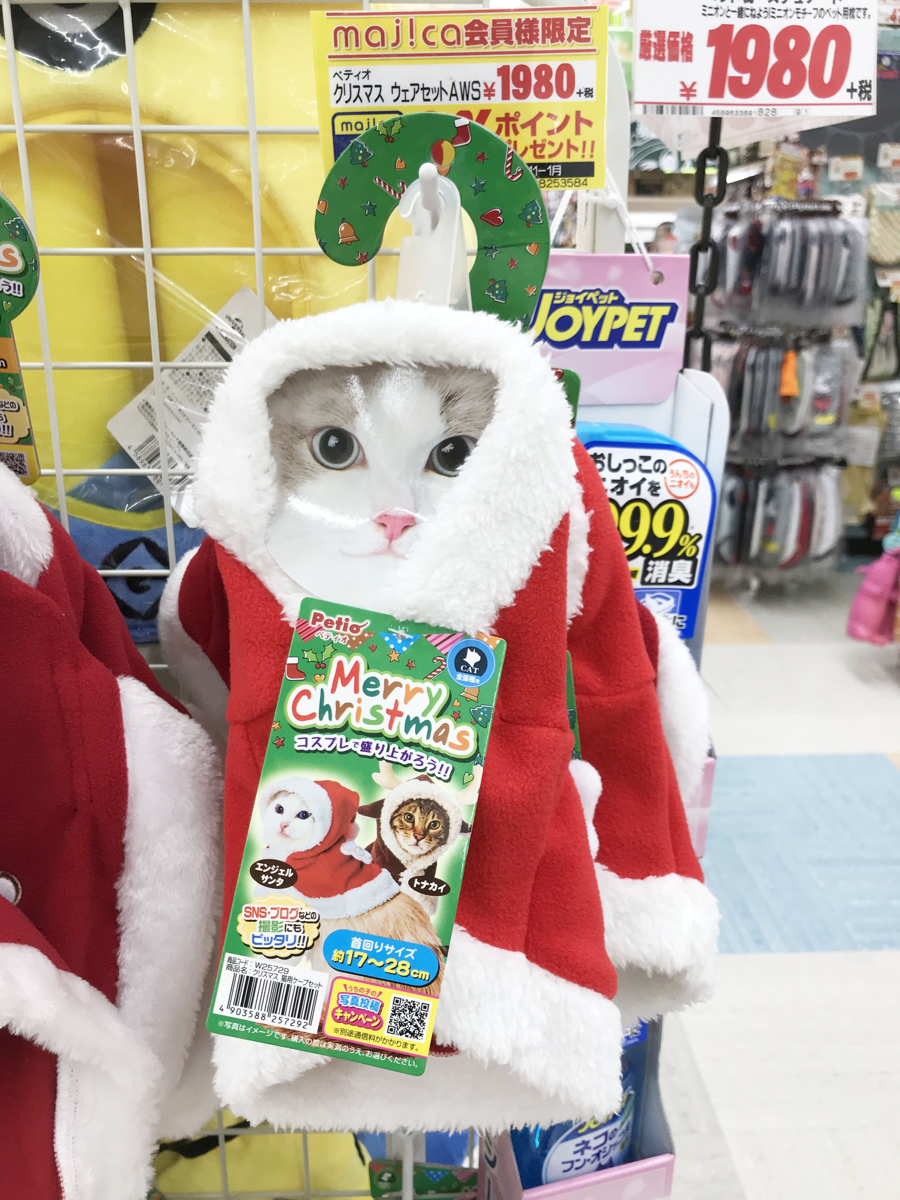 驚安の殿堂 ドン キホーテ ドンキが12 00をお知らせします かわいい クリスマス の サンタ 衣装 T Co Ml4uhv17yh Twitter