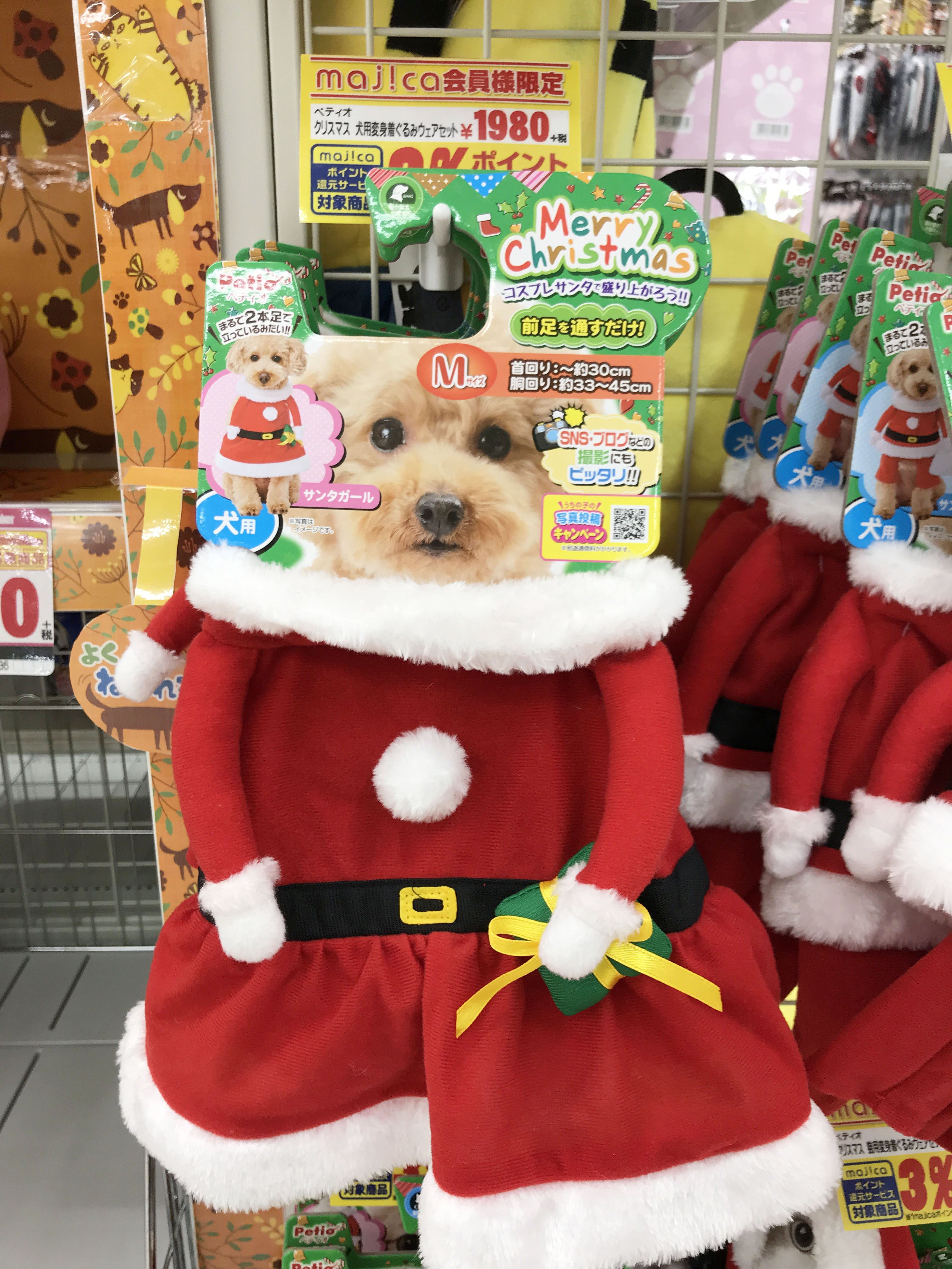 تويتر 驚安の殿堂 ドン キホーテ على تويتر ドンキが12 00をお知らせします かわいい クリスマス の サンタ 衣装 T Co Ml4uhv17yh
