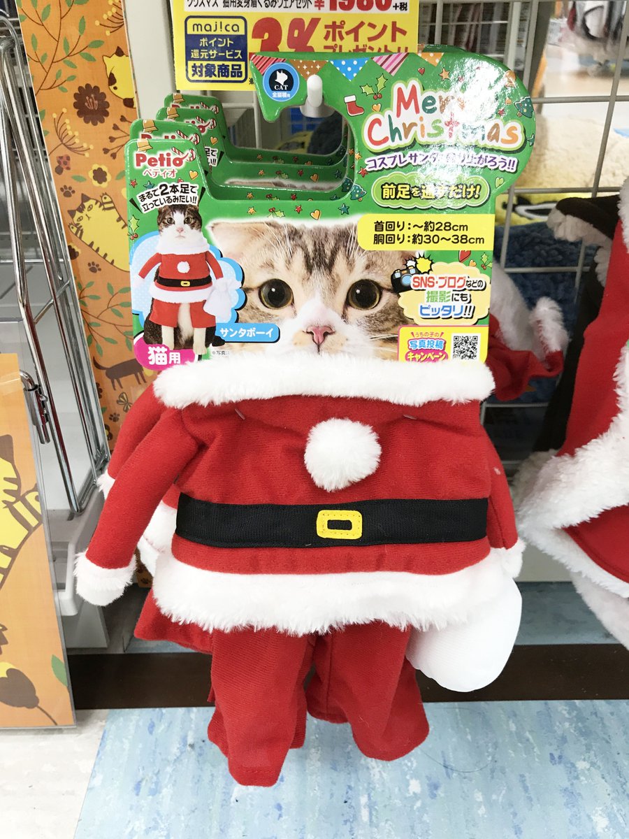 驚安の殿堂 ドン キホーテ Twitterissa ドンキが12 00をお知らせします かわいい クリスマス の サンタ 衣装