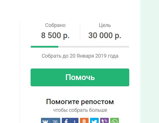 RusBabyzProject's tweet photo. #bap #baby Итоги первой недели с момента старта благотворительного проекта радуют и воодушевляют!
Горячая благодарность тем, кто уже отправил средства в фонд ❤ 
Надеемся и дальше на неравнодушие участников проекта! https://t.co/PllftZf7ko