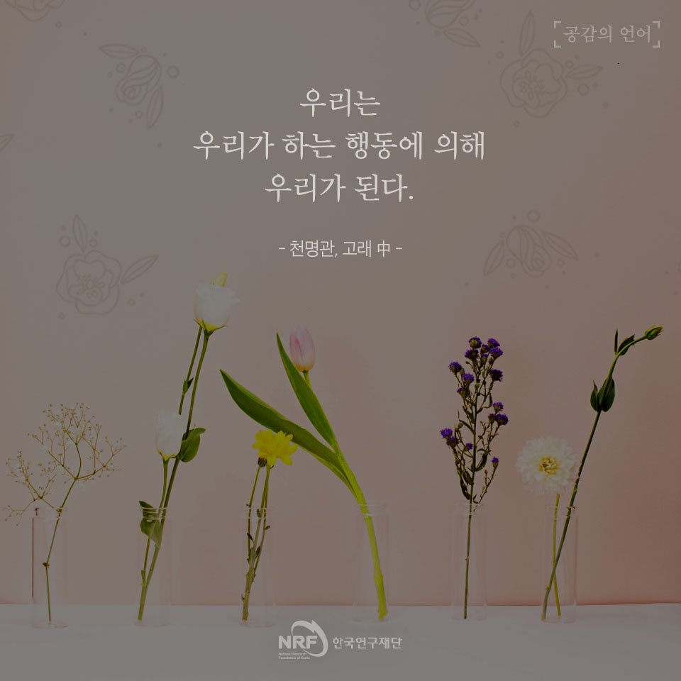 🌿 우리는 일상 속에서 
수많은 선택을 하며 살아가고 있습니다.
우리의 생각, 말, 행동에 따라 
삶의 방향이 정해지는 것 아닐까요?
#공감의언어 #천명관 #고래