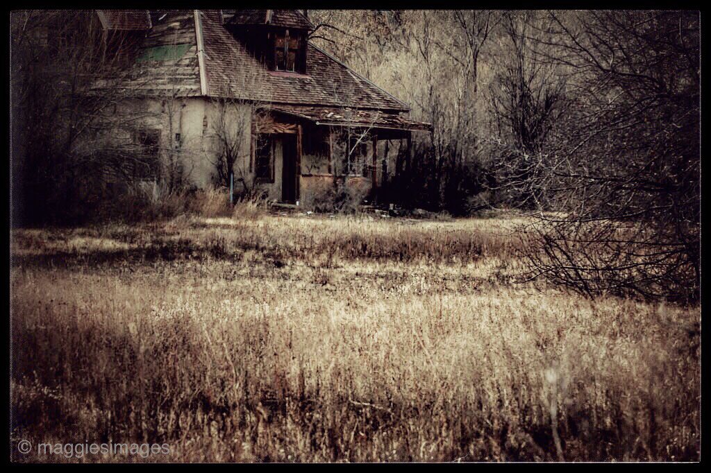 An #old #abandonedhouse south of Alamosa. #newmexicophotography #houseinthewoods #hauntedhouse #photography #maggiesimagesetsy