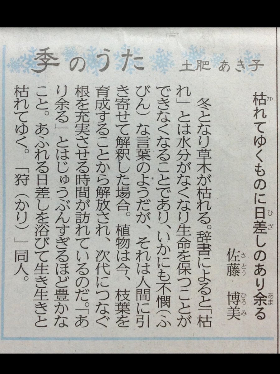 Takayama A Twitter 枯れてゆくものに日差しのあり余る 佐藤博美 枯れる って言葉には 何処か物悲しい 寂しい雰囲気ありますけど この句には 来年 次の春に向けて希望を感じる 良い 最後の 生き生きと枯れてゆく も好き 俳句 川柳 短歌 佐藤博美