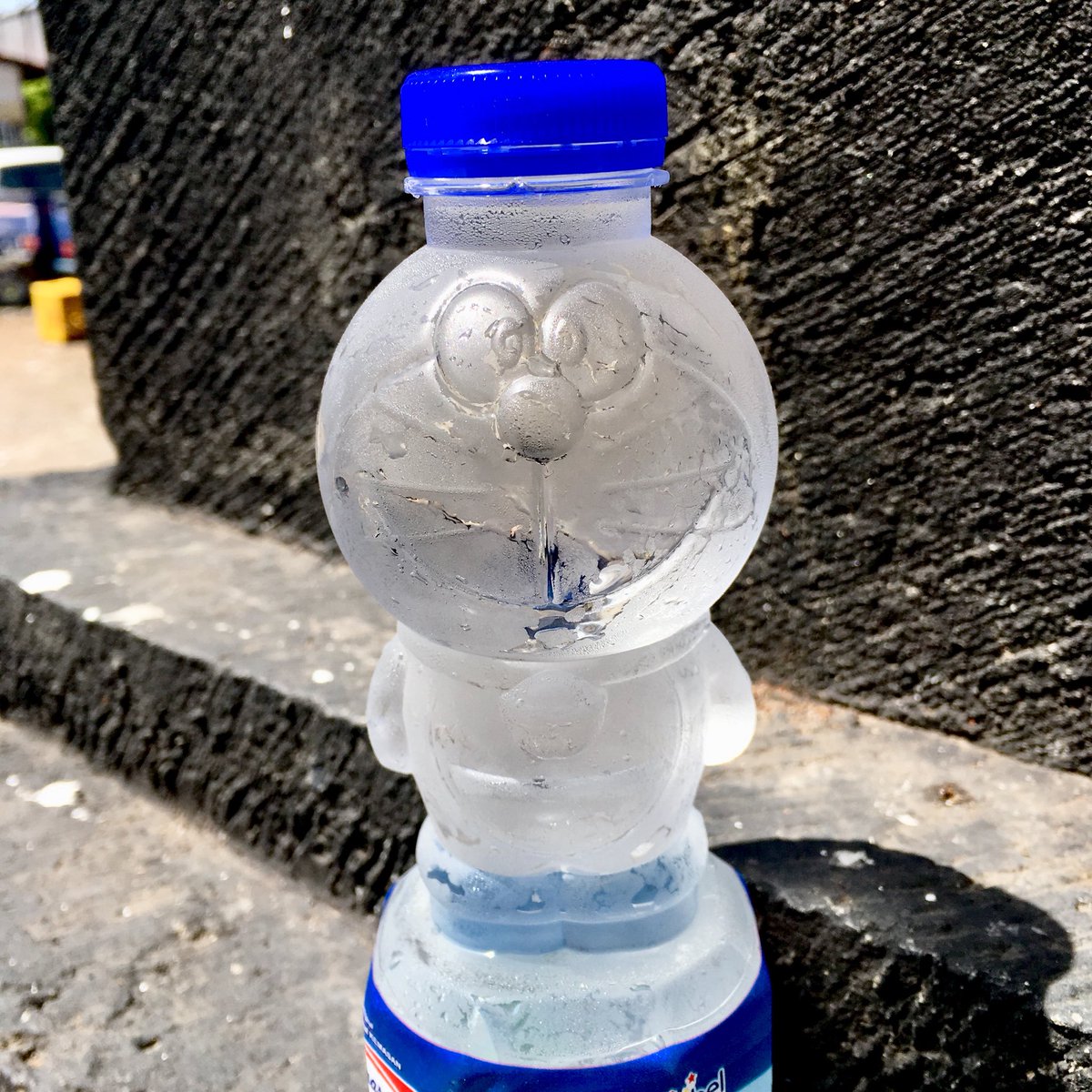 ちゃんなるちゃんさん インドマレ限定ドラえもん水