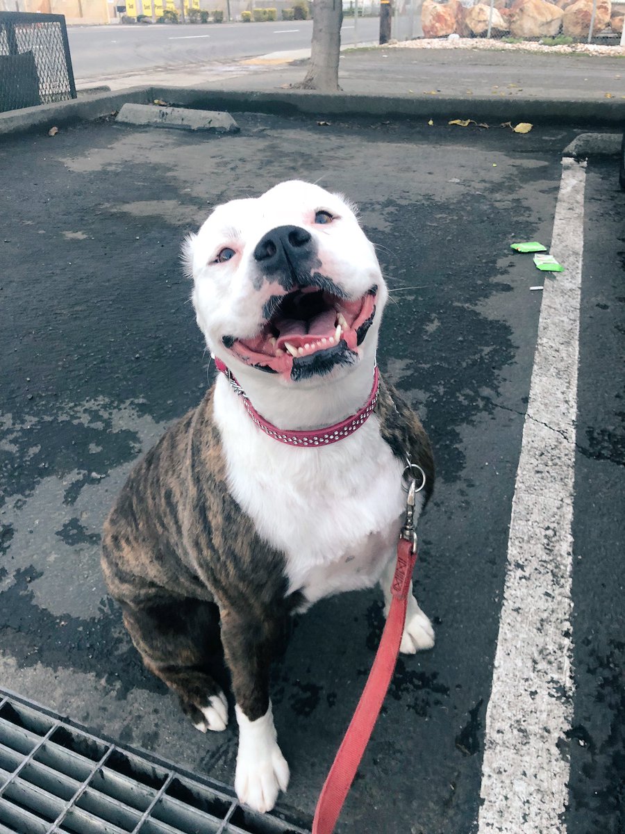 ealex324's tweet photo. that smile 🤩 https://t.co/dGKovMeepa