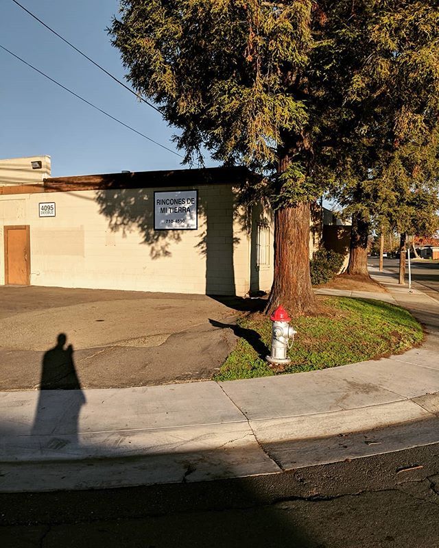 JackSamuelWinks's tweet photo. Self Portrait
.
.
.
.
.
#selfportrait #shadow #street #light #oftheafternoon #ifyouleavestagram #ifyouleave #ourmag #rentalmag #lekkerzine #paperjournalmag #streetdreamsmag #streetphotography #noicemag #stopmag #paradisexmagazine #sacramento #california https://t.co/ClY4tfd9HG https://t.co/VXkbZf3LJS
