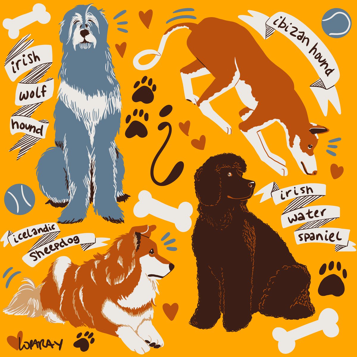TheBoyerCannon's tweet photo. Day 88.
A tall boy, long boy, curly boy, and fluff boy #dogcember https://t.co/c8E8MmARot