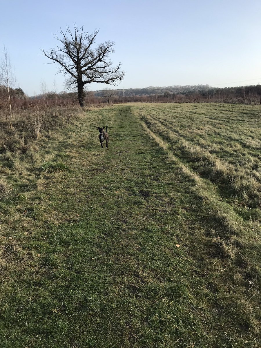 gaby tweet media