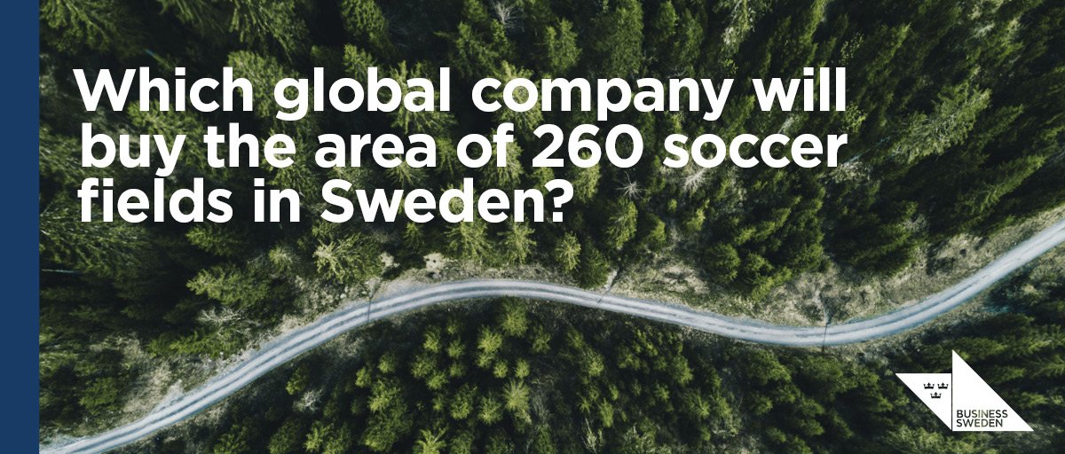 Which global company will buy the area of 260 soccer fields in Sweden?
bit.ly/2LgJGIF