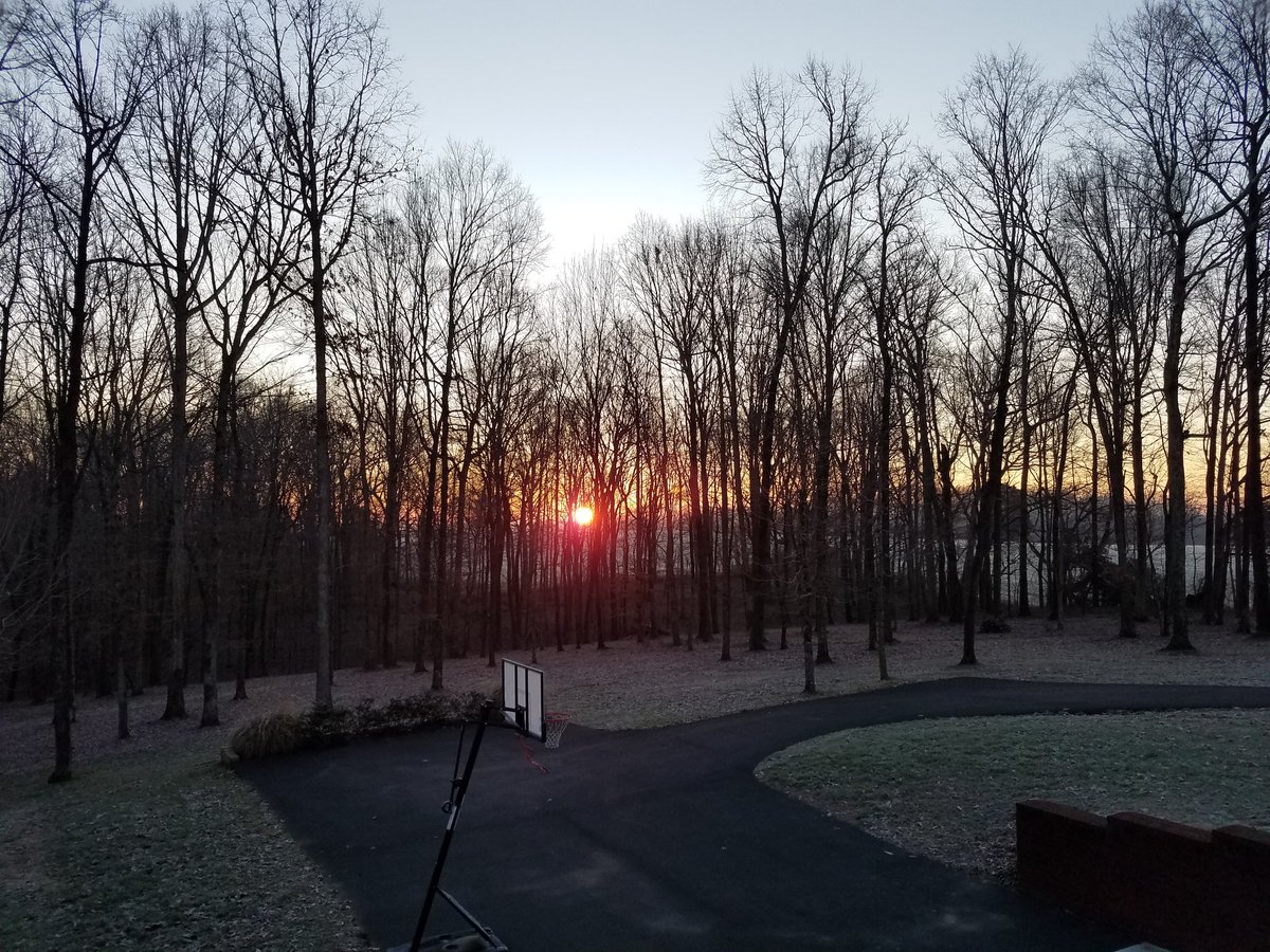 SteveWren11's tweet image. Rise and shine, cold morning in #Tennessee #CrazyAcres