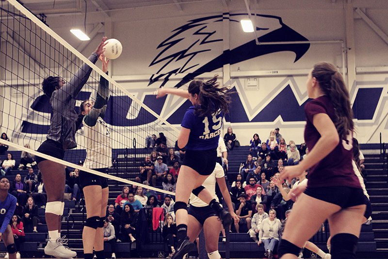 rev_volleyball (volleyball_rev) Twitter