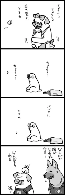 【パグ嫁と姑】あなたへ 