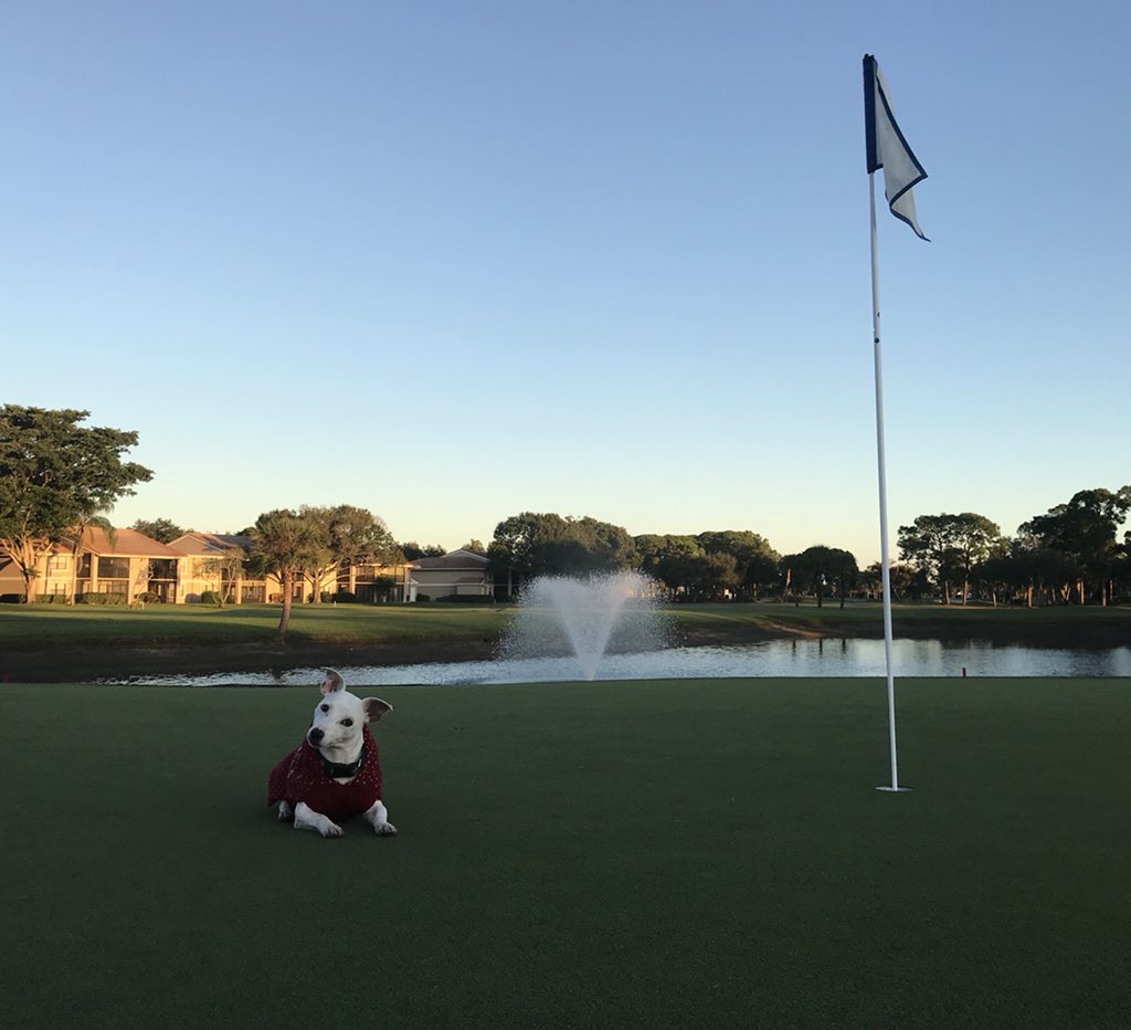 Shane Rice tweet media