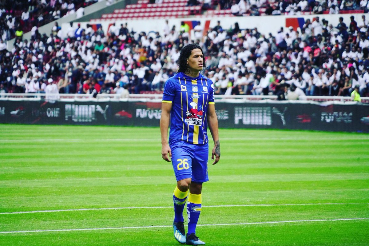 🐬⚽👏