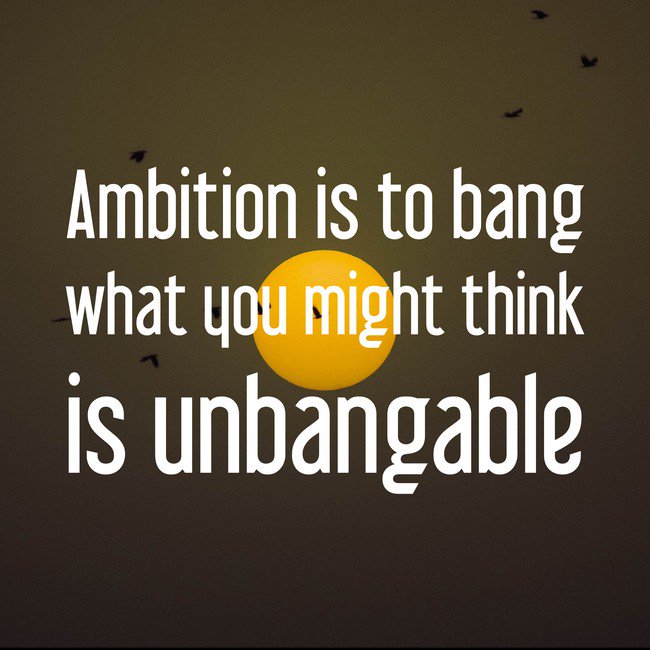 DailyzFun's tweet image. 