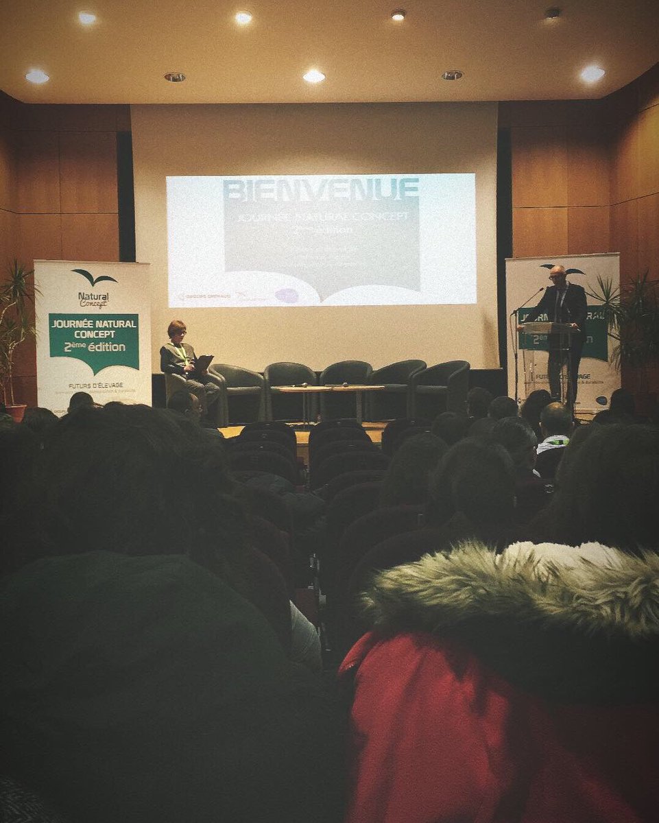 Raph Garbouj tweet media