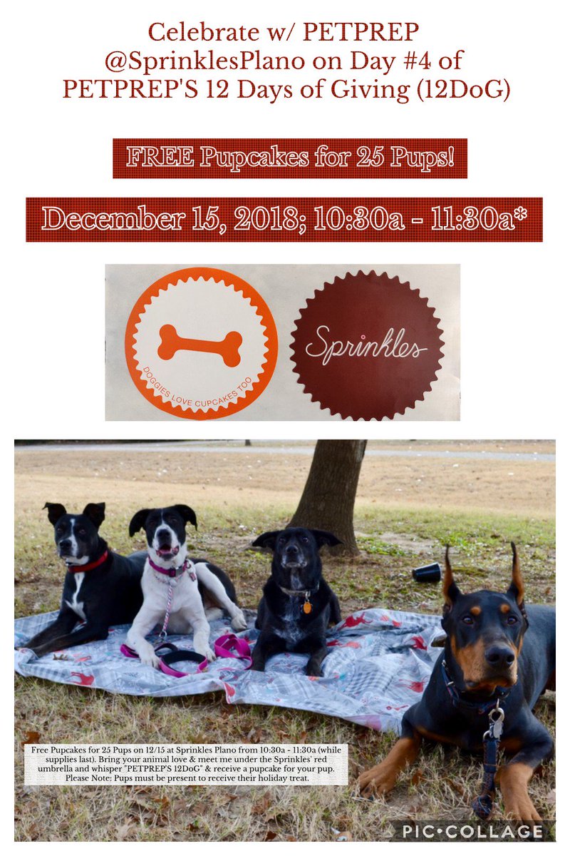 PetPreparedness's tweet photo. Pups like cupcakes too....reward your puppyβ€οΈ this Saturday, 12/15/18, and bring him to @sprinkles-Plano at 10:30a for a pupcake. @PetPreparedness is giving the first 25 pups a pupcake for #Free. #12DoG #HappyPawlidays https://t.co/5WN5jzExOb