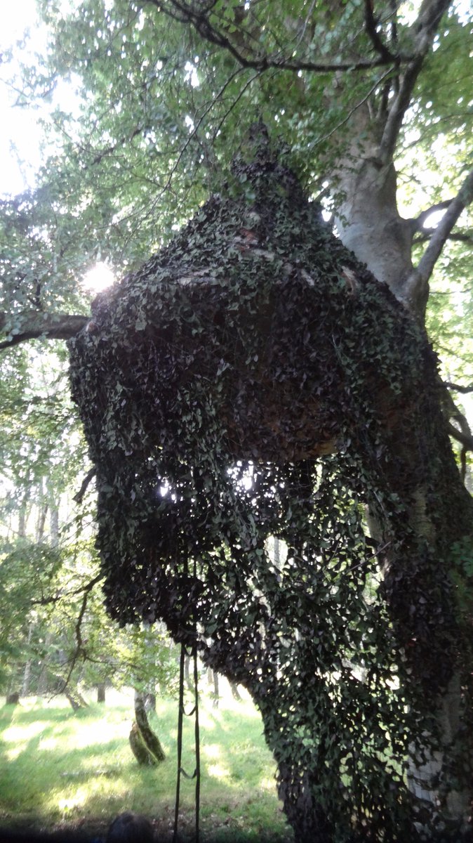 skypodworld's tweet photo. Hide in the trees with Sky-Pod's 3D Camo fly sheet. #skypod #treehouse #survival #adventure #ecocamp #sustainable #camping #treetent https://t.co/3V68eGkZcu