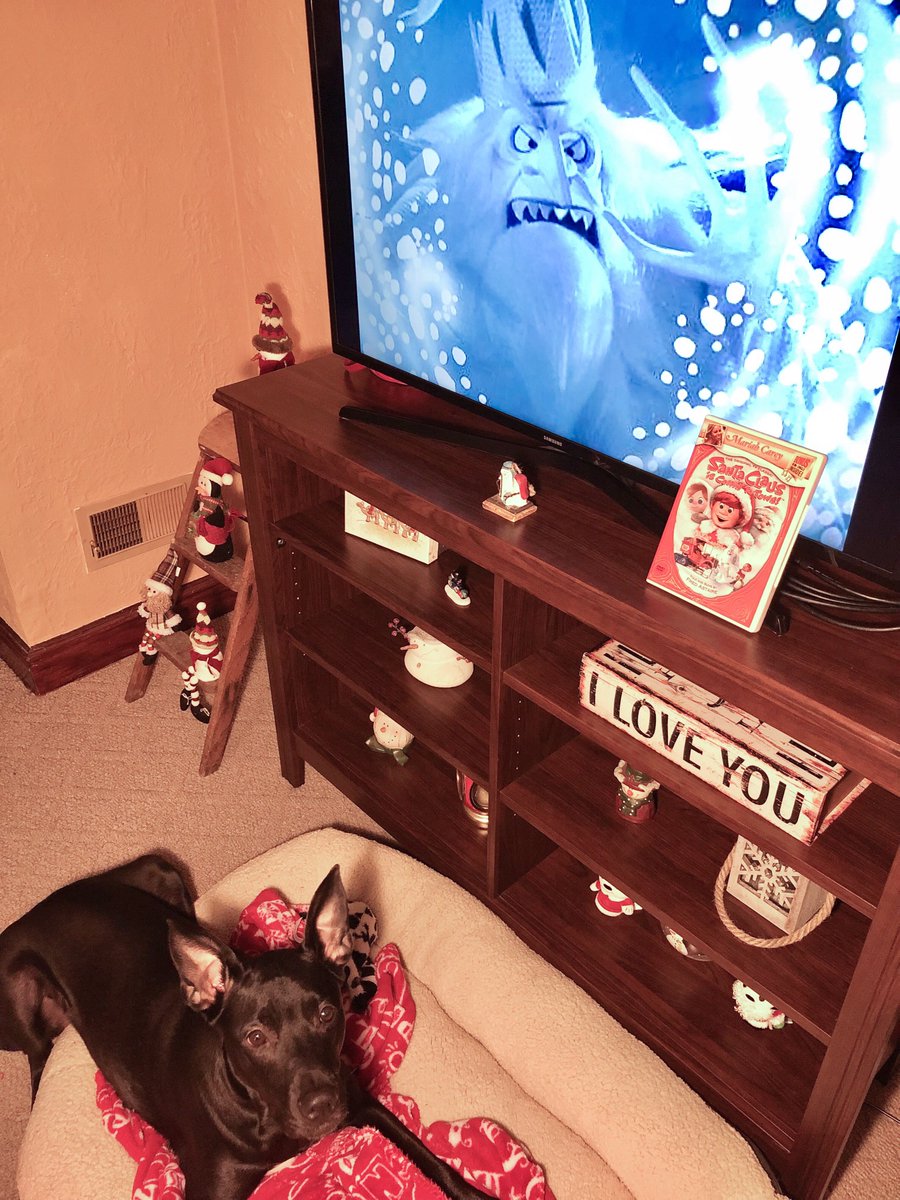 crowned_warrior's tweet photo. #25DaysOfChristmas #PhotoChallenge
Day11 🎞🎥FaveChristmasMovie 🎥🎞
The humans laid out their Christmas movies and asked me to pick my favorite🤔
I chose the oldie, but goody, #SCiCtT🎅
🐾👅
#BurgermeisterMeisterburger #WinterWarlock #RadarEars #DogCelebration @dogandpuplovers https://t.co/DShImFADX2