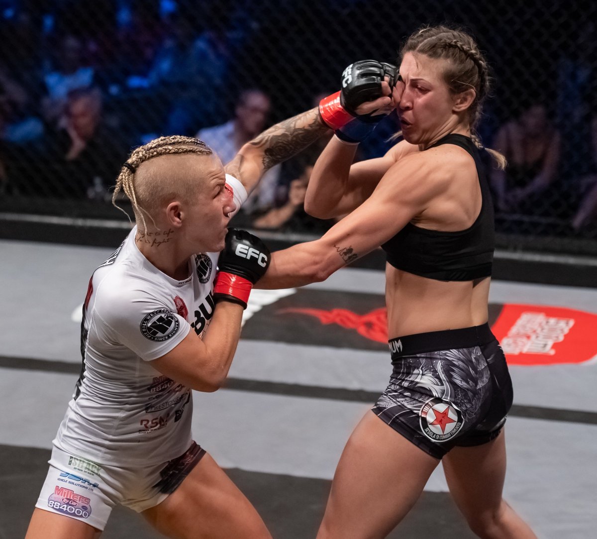 CSAglobal_'s tweet photo. CHANGING HANDS: Shout out to #KarolinaWojick and @Jaredvanderaa for taking over the Strawweight and interim Heavyweight titles!

#CSAglobal #CSAsports #EFC76 #CSAglobal https://t.co/juvf4XtsVu