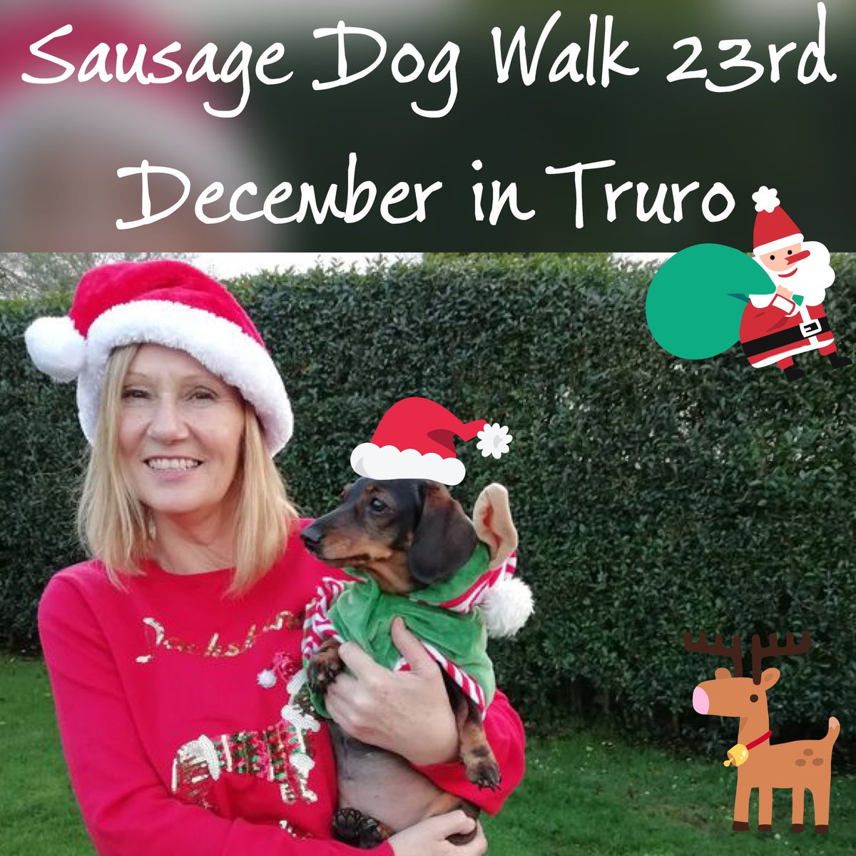 DachshundsSW's tweet photo. 🎅 23rd December Sausage Dog walk through Truro!!!! How many sausages can we get together?! 
Tag a sausage dog owner! 🌭 (The lovely Pixie Davis &amp; bluebell in photo) @cornwalllive #sausagedog #dachshund #truro #cornwall #christmas  
https://t.co/V0PiGfbzH7 @cornwallliv https://t.co/yj5Sw0ETBl