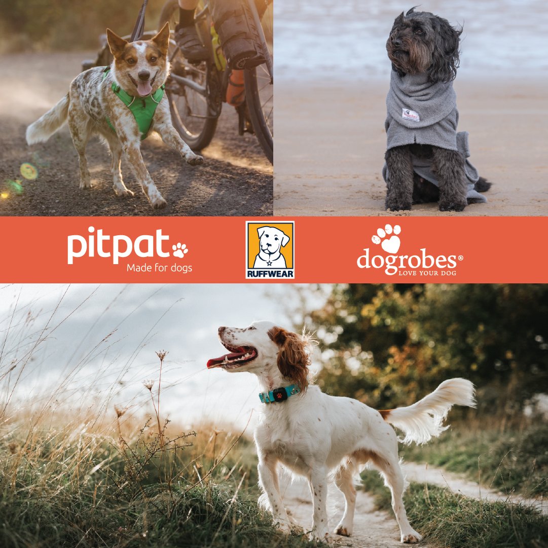 PitPat 2 Dog Activity Monitor PitPat 2 Dog Activity Monitor