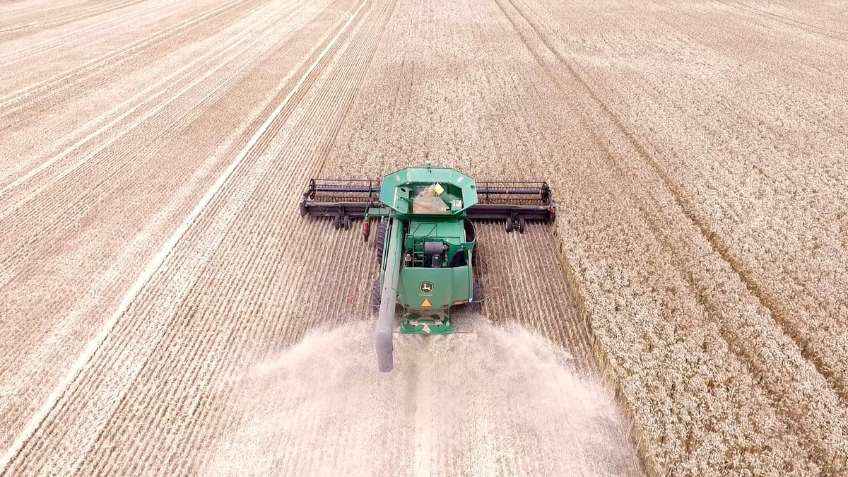 Dan Adams tweet media